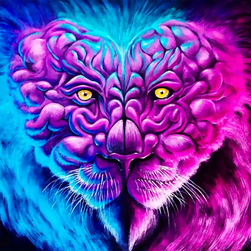 Love fiercely, 2016 Werc street artist
