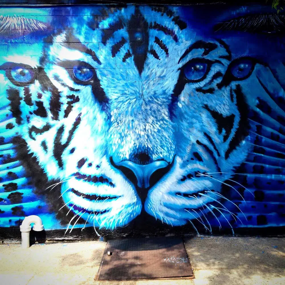 Aug 2015 Werc street artist
