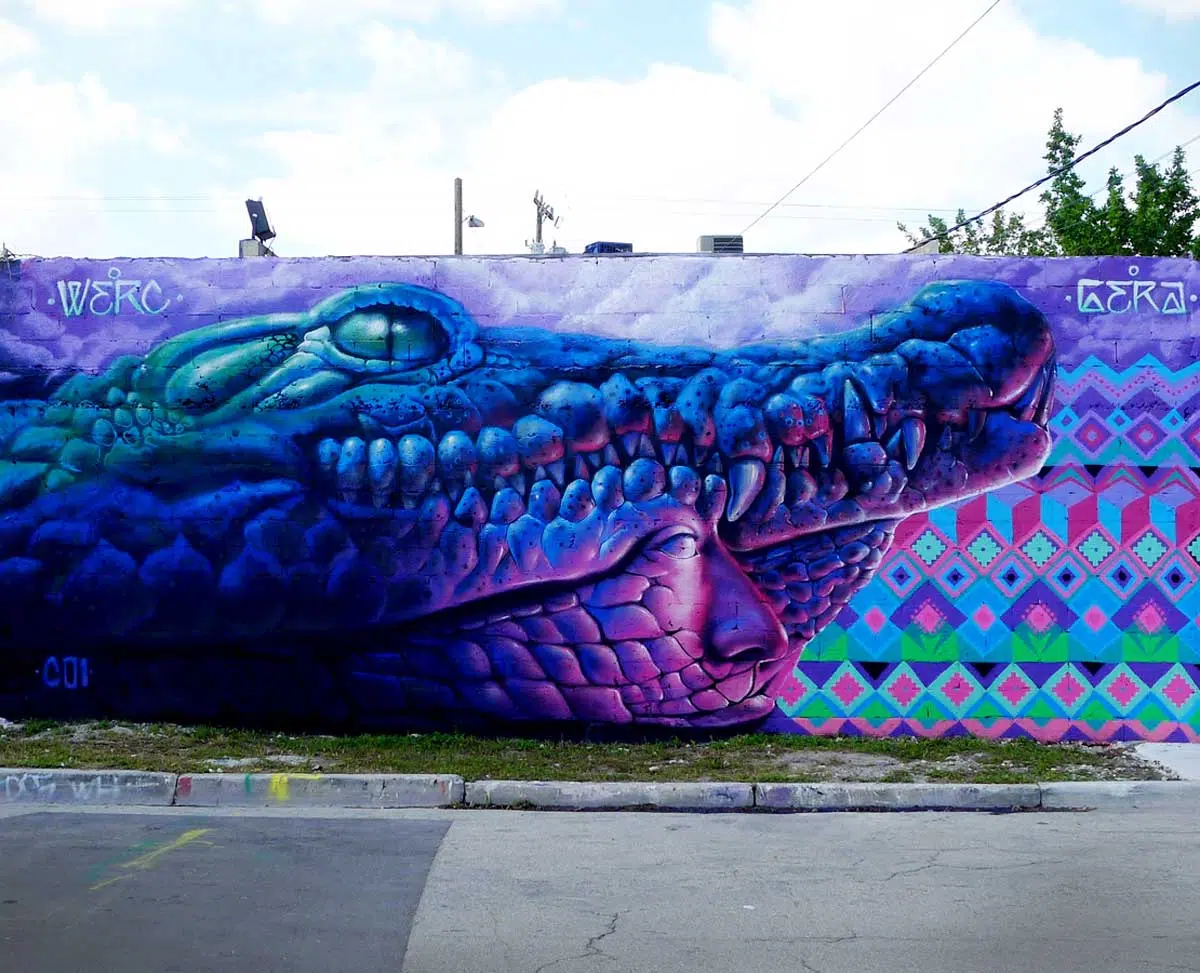 Wynwood Miami - Collaboration with Gera Lozano - Feb. 2015 Werc street artist