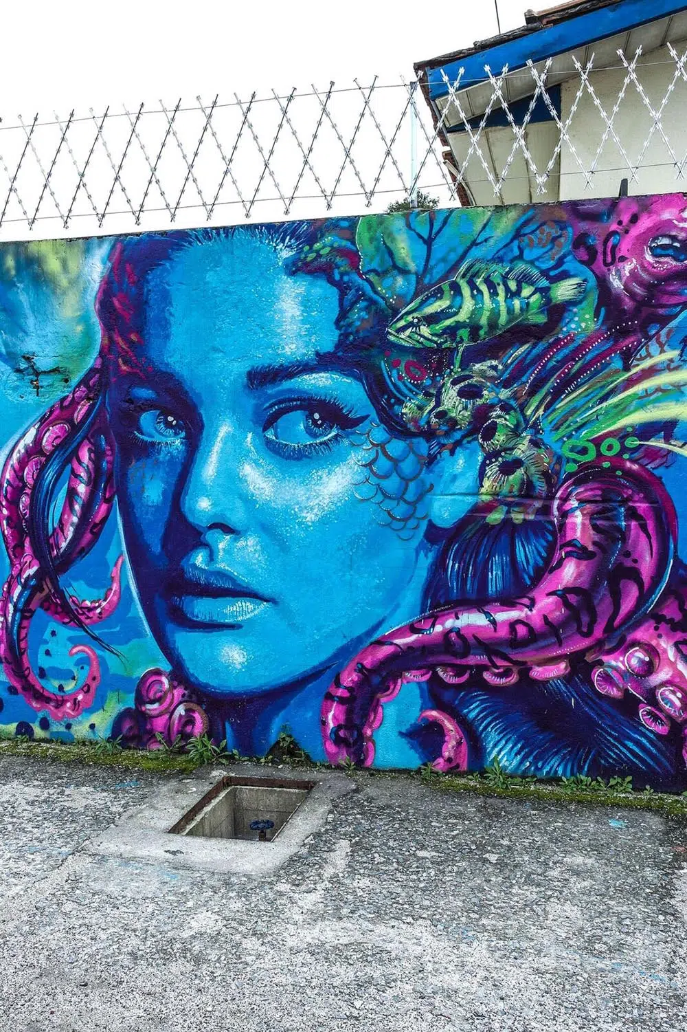 Octopus Lady - Mermaid series Valdi Valdi Street Art Interview