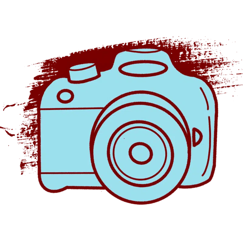 prosumer camera for artists
